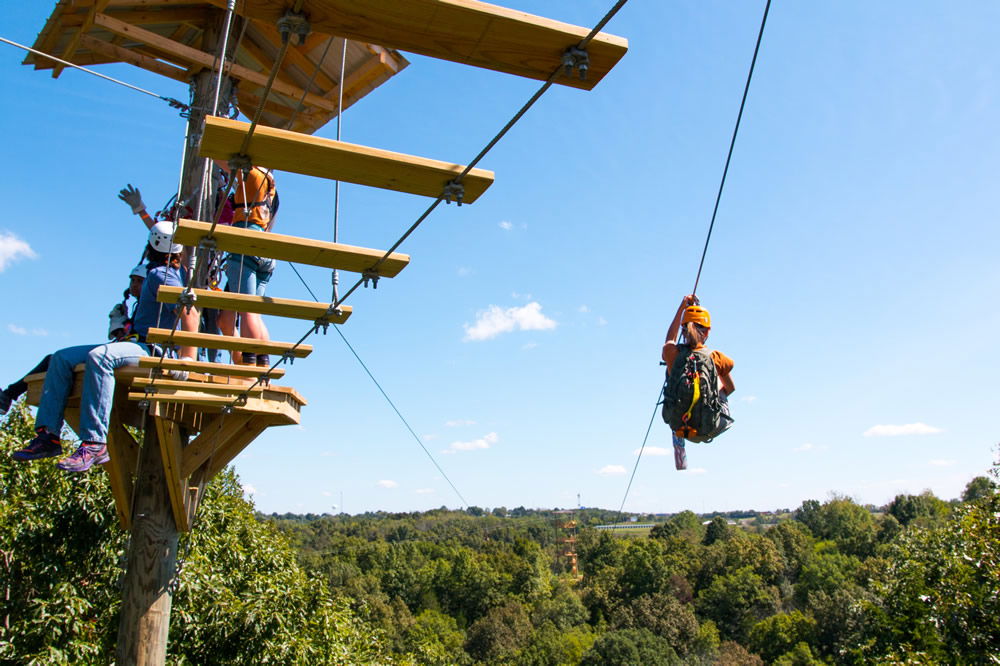 Zip Lines