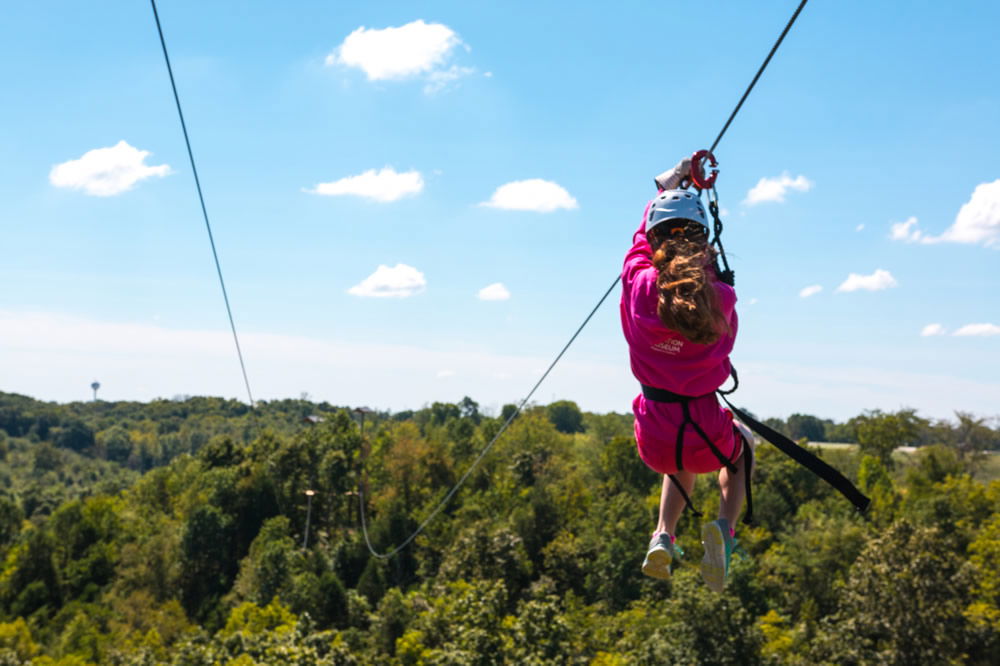 Zip Lines