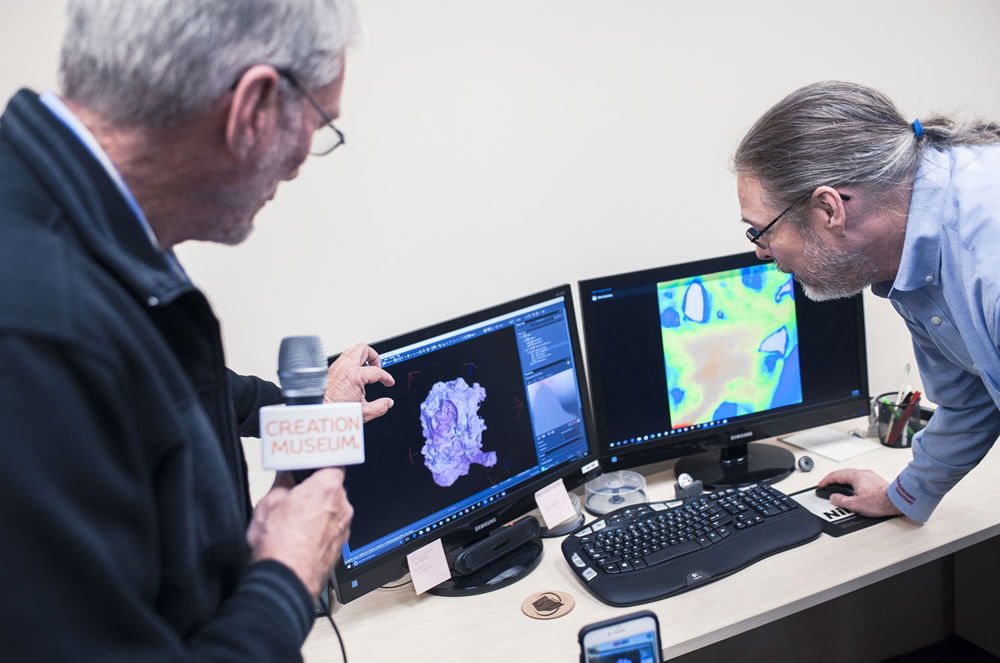 Technician Shows Scan of Allosaur Skull