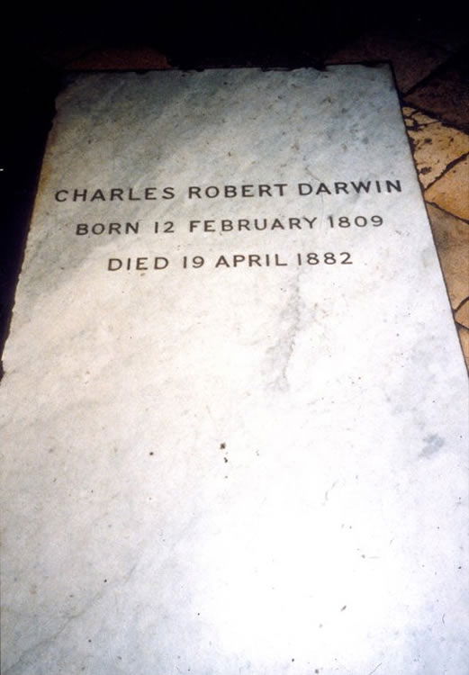 Charles Darwin Tombstone