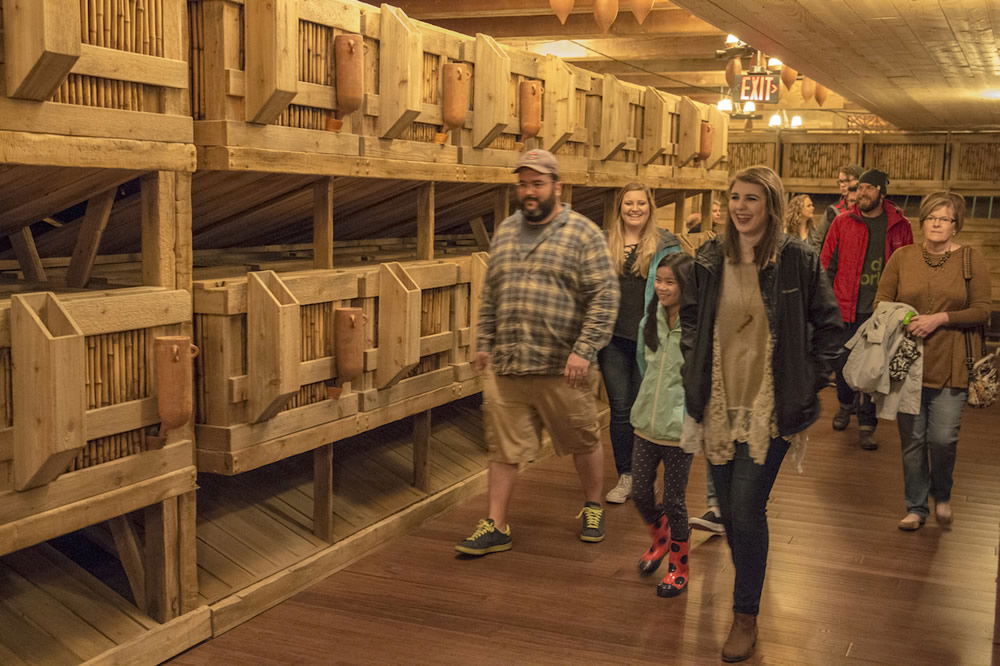 Casting Crowns Visit to Ark Encounter