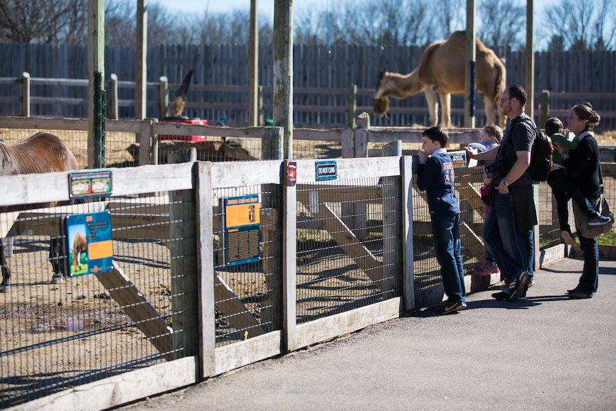 Ararat Ridge Zoo at Ark Encounter