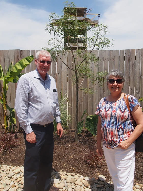 Australian Bottlebrush