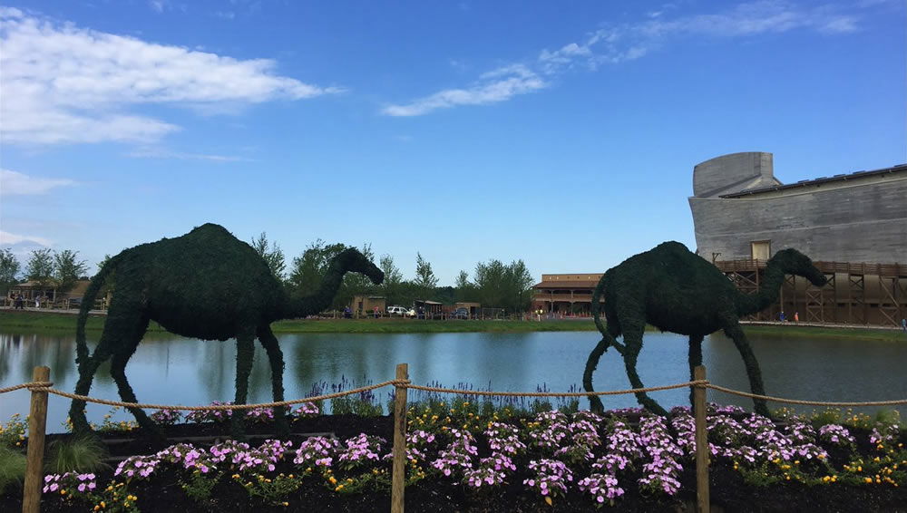 Topiary Camels