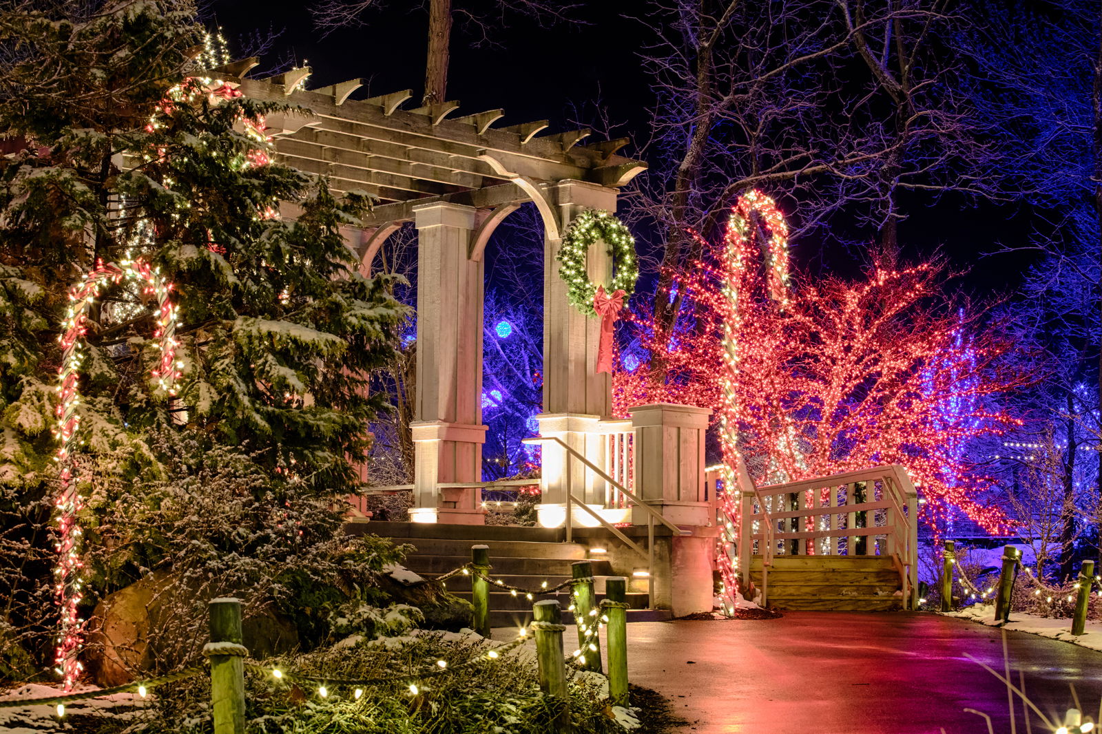 ChristmasTown Lights at the Creation Museum