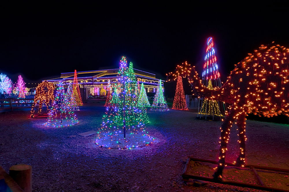 Ark Encounter ChristmasTime