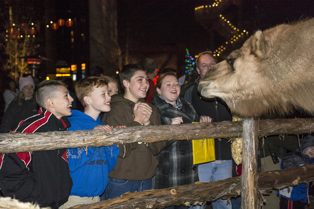 Guests at ChristmasTown