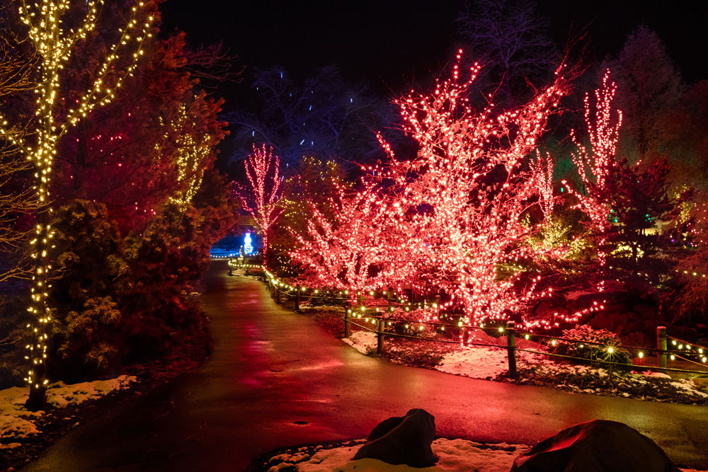 Creation Museum ChristmasTown