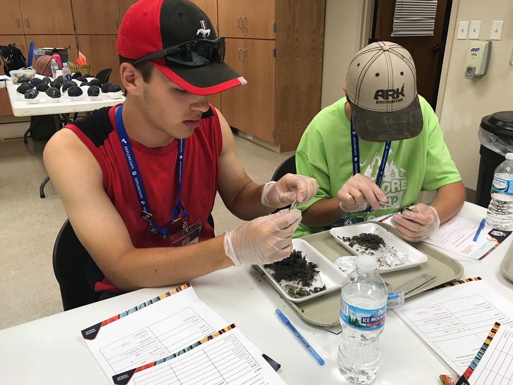 Dissecting Owl Pellets at the Explore Camp