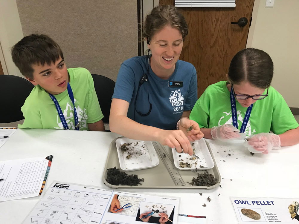 Dissecting Owl Pellets at the Explore Camp