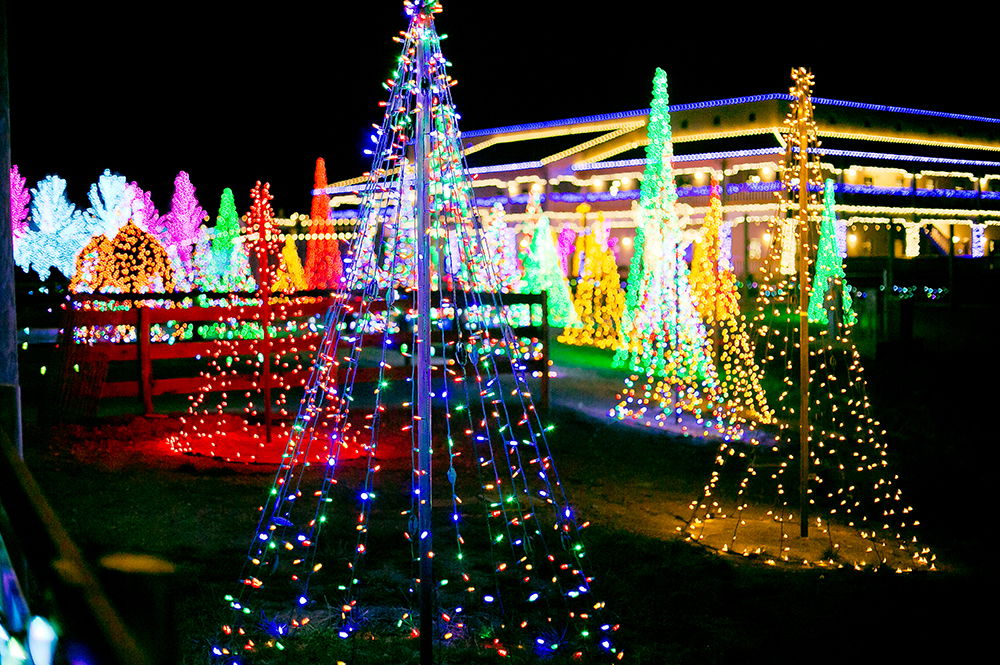 ChristmasTime at the Ark Encounter