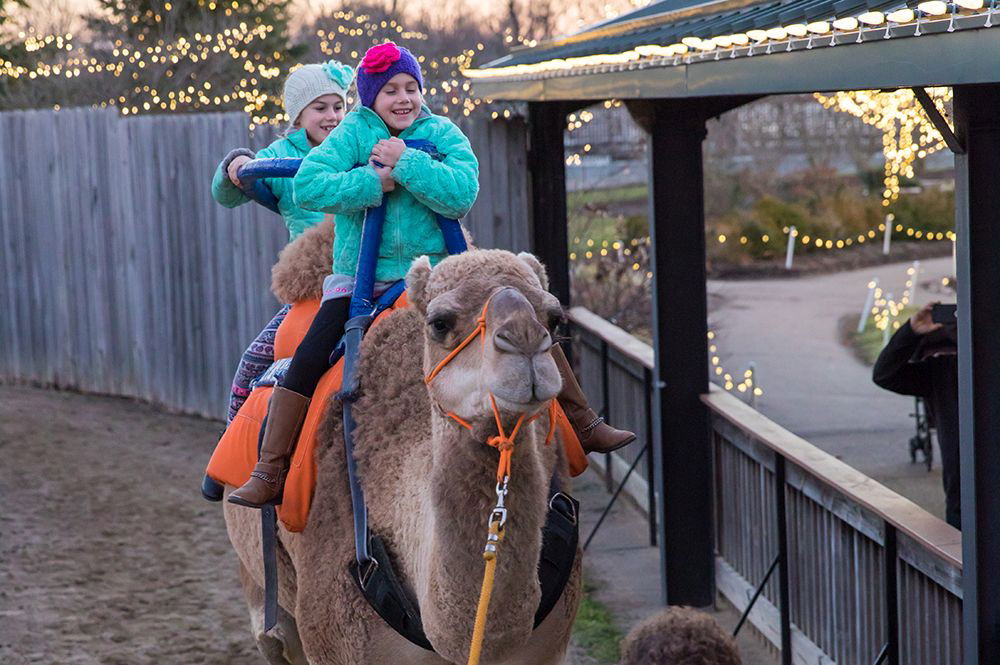 ChristmasTown at the Creation Museum