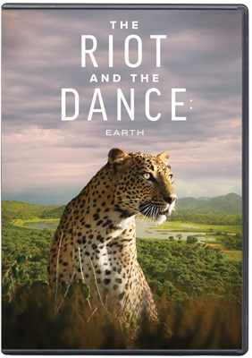 The Riot and the Dance DVD