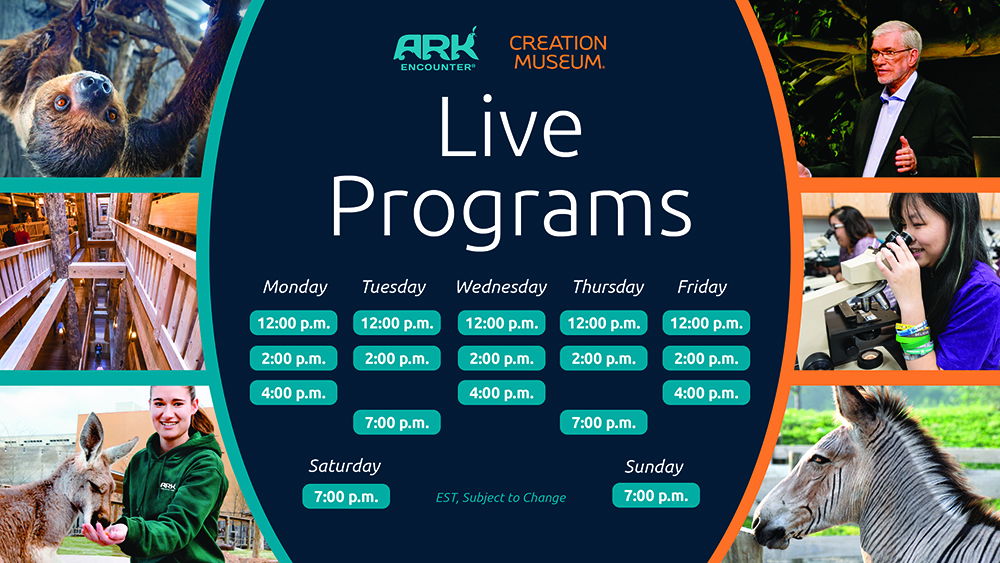 Live Programs Schedule