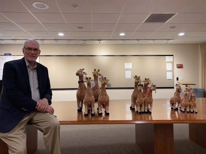 Ken with the giraffes