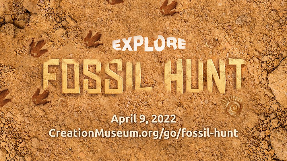 Explore Fossil Hunt