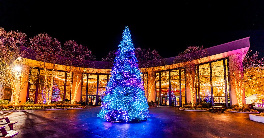 Christmas lights at the Museum of Creation