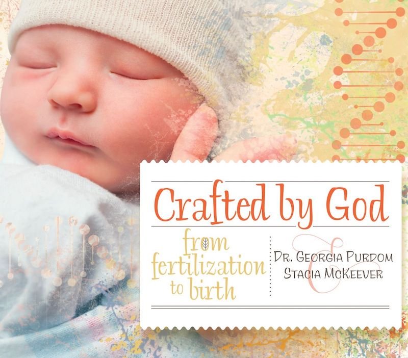 Crafted by God: From Fertilization to Birth front cover