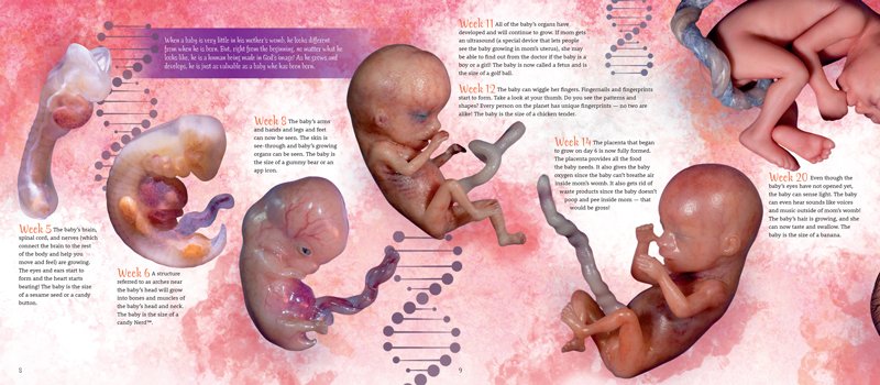 Crafted by God: From Fertilization to Birth page preview