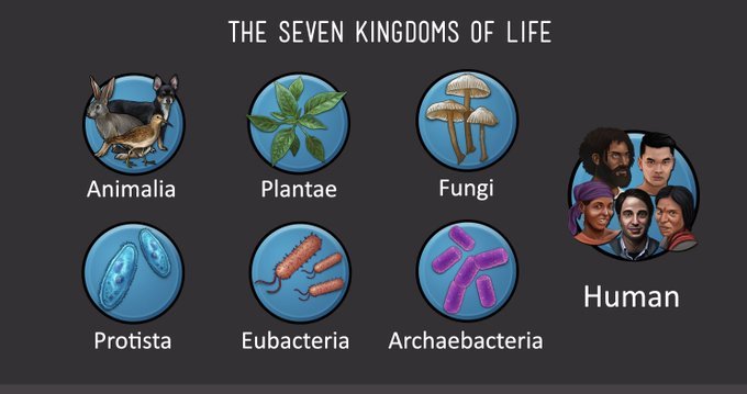 Seven kingdoms of life, including the human kingdom.