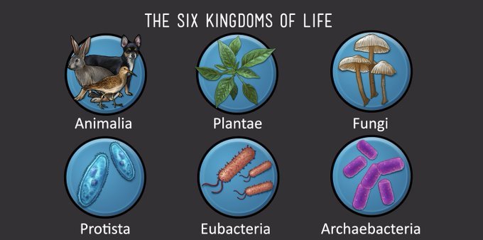 Six kingoms of life