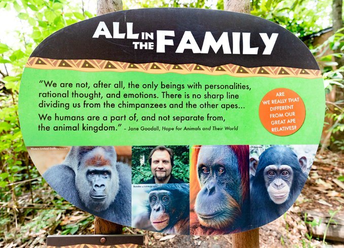 Zoo exhibit talking about humans being in the animal kingdom.