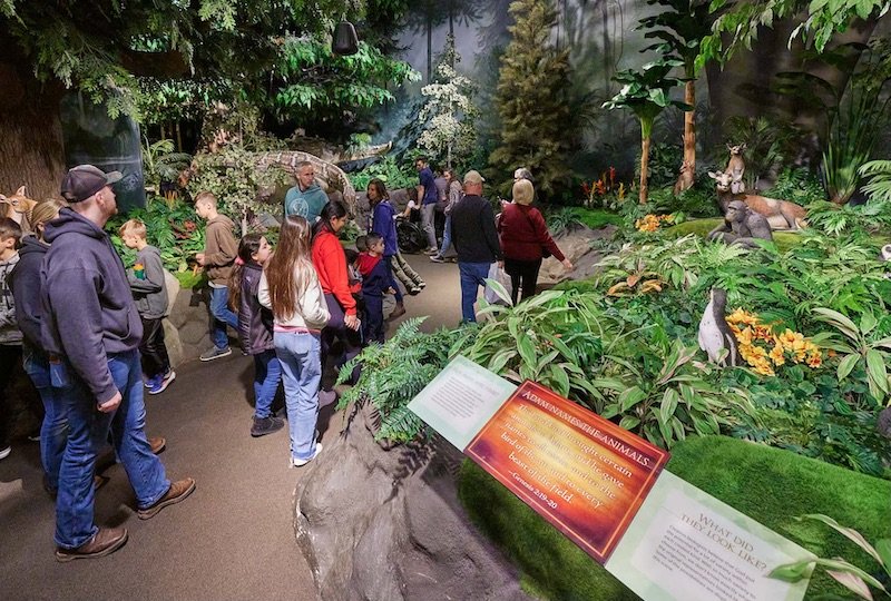 Creation Museum Garden of Eden exhibit