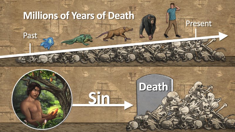 Millions of years of death vs Sin