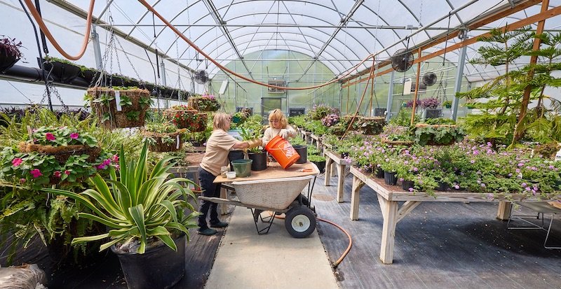 Horticulture crew in greenhouse