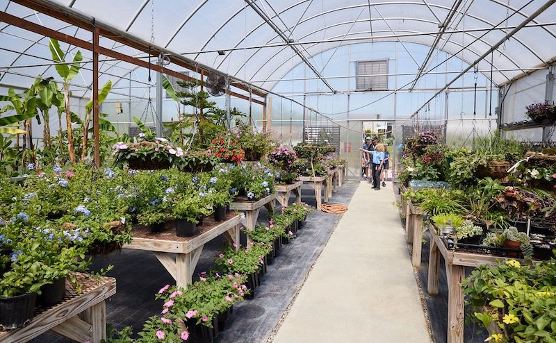 Program in greenhouse