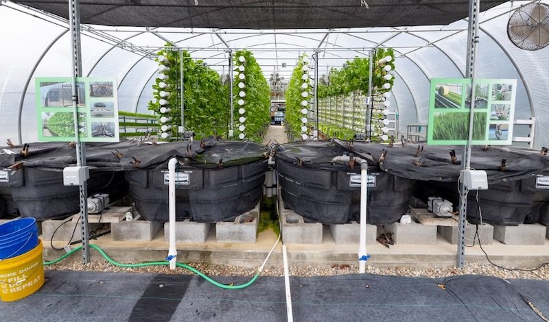 Greenhouse irrigation system
