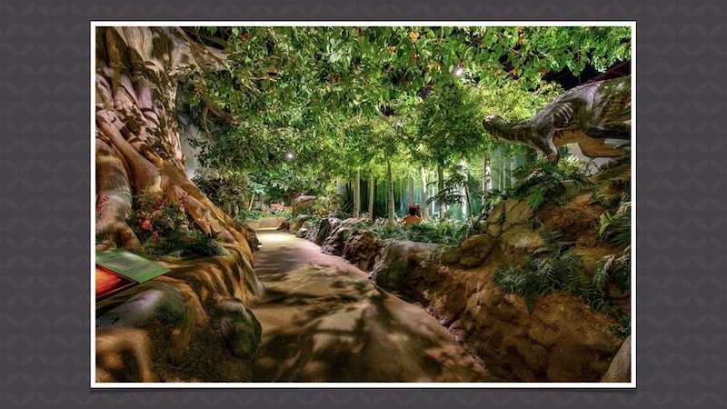 Creation Museum Garden of Eden