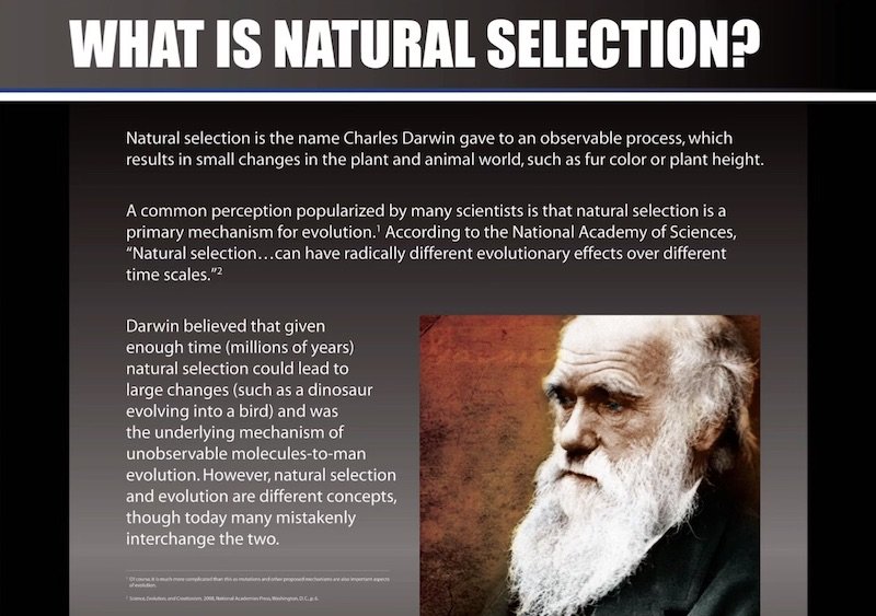 What is natural selection?