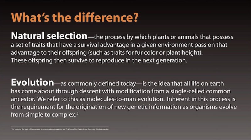 What's the difference between natural selection and evolution