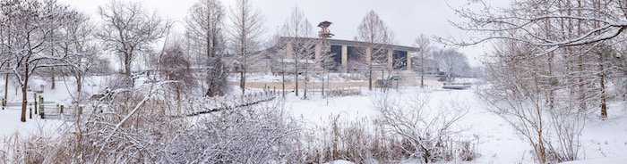 Snow at Creation Museum
