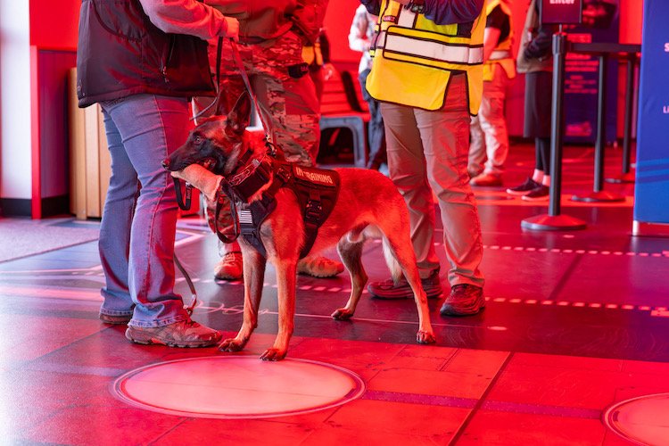AiG’s K9 Conference a Huge Success Answers in Genesis