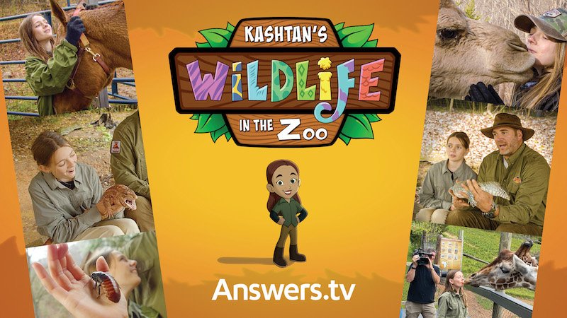 Kashtan’s Wildlife in the Zoo