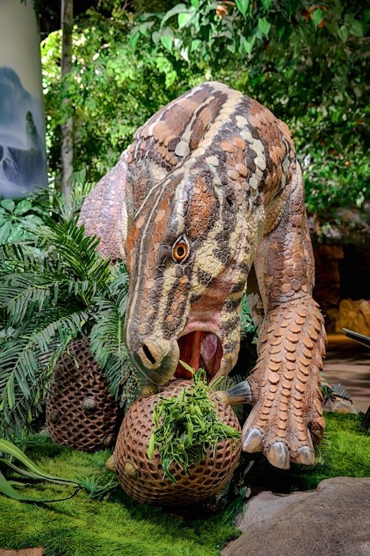 Dinosaur eating a plant