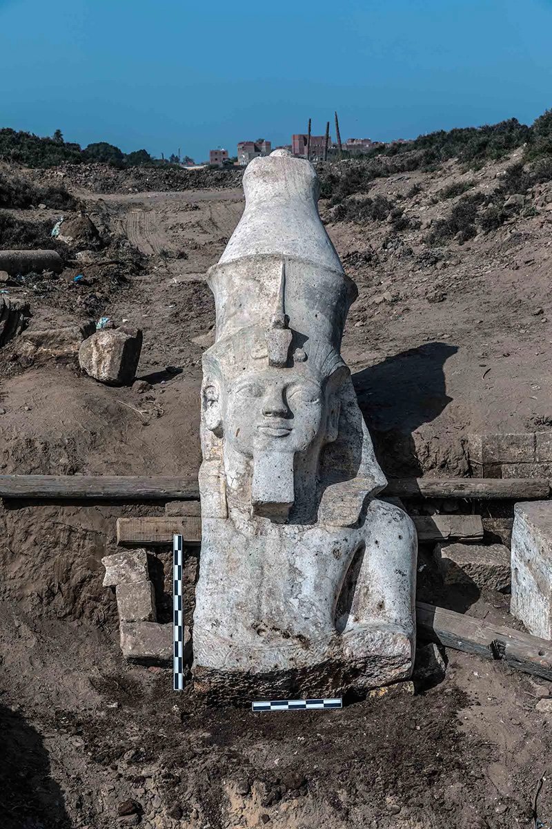 Rameses statue head