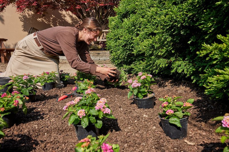 Groundskeeper planting flowers