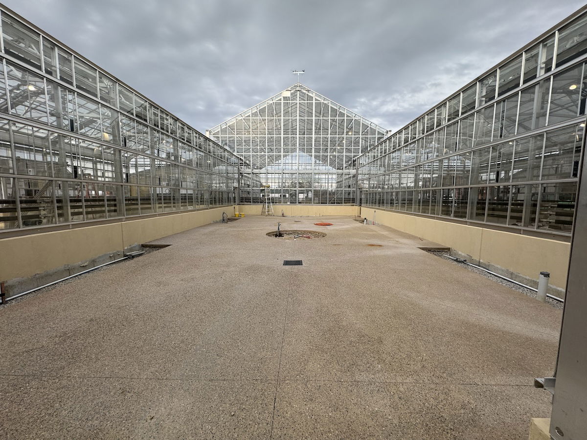 Greenhouse interior