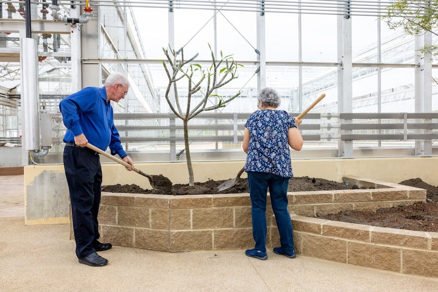 Ken and Mally planting another tree