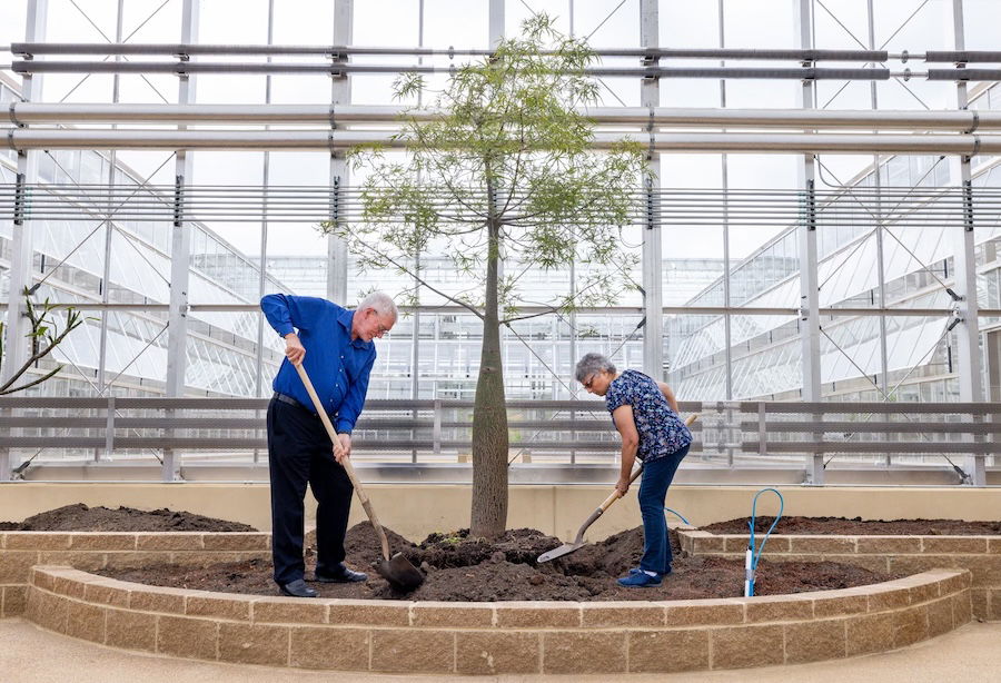 Ken and Mally Ham planting the tree