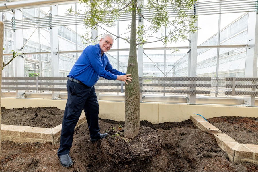 Ken holding the trunk of the tree