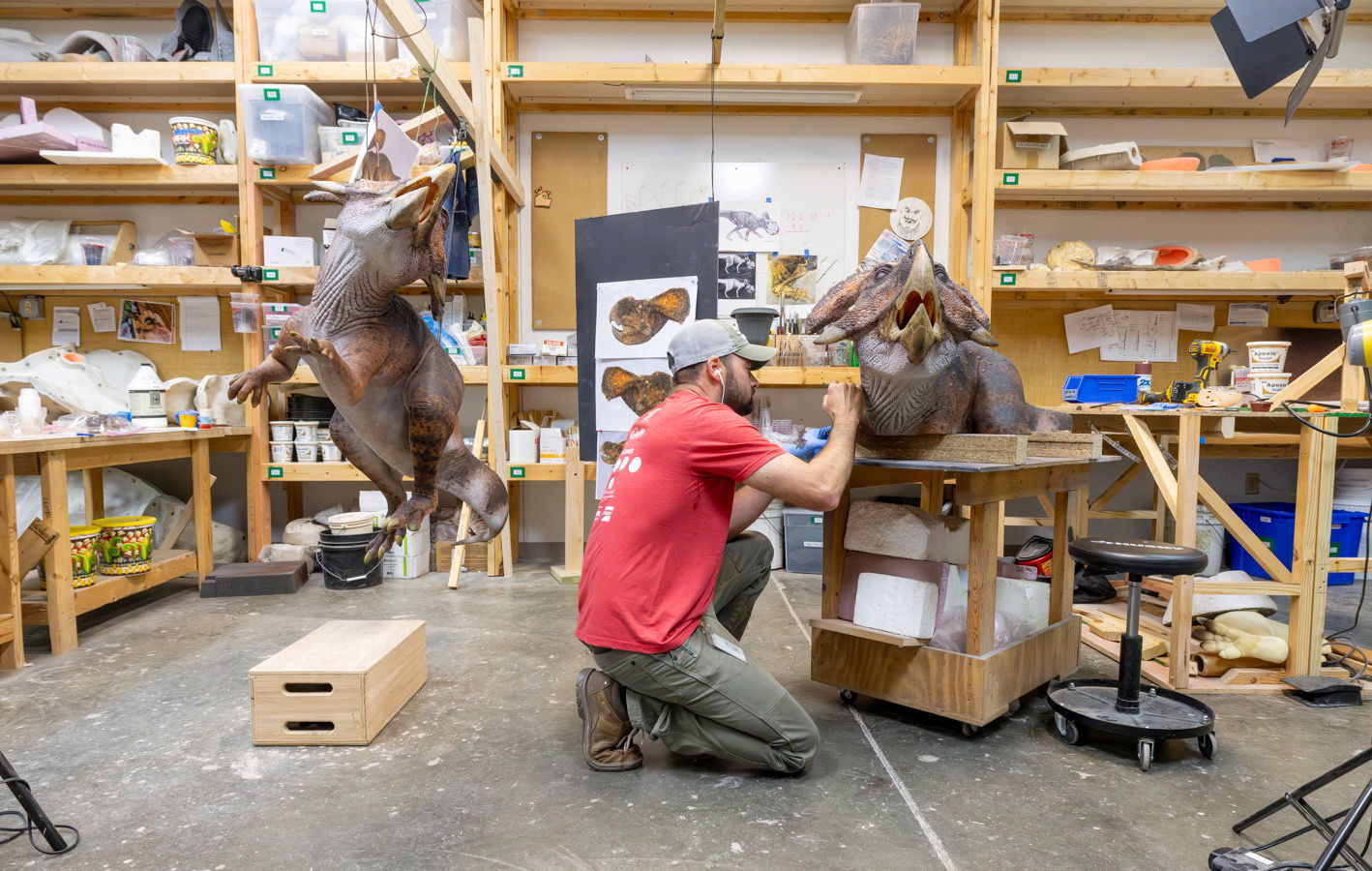 Artist working on Protoceratops