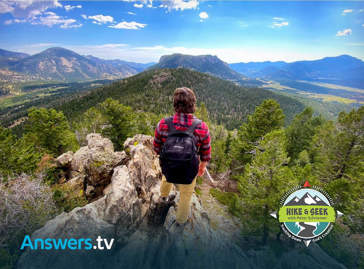 Peter overlooking nature