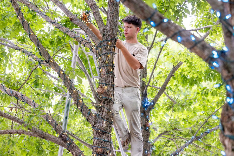 Grounds team putting up Christmas lights