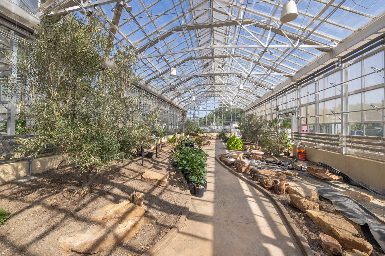 Conservatory interior