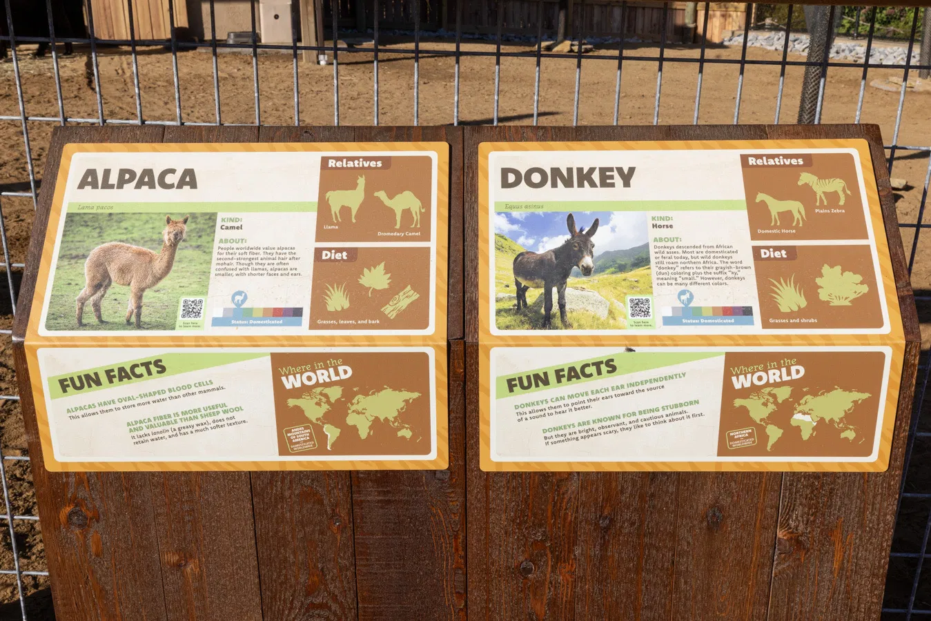 Alpaca and donnkey signs