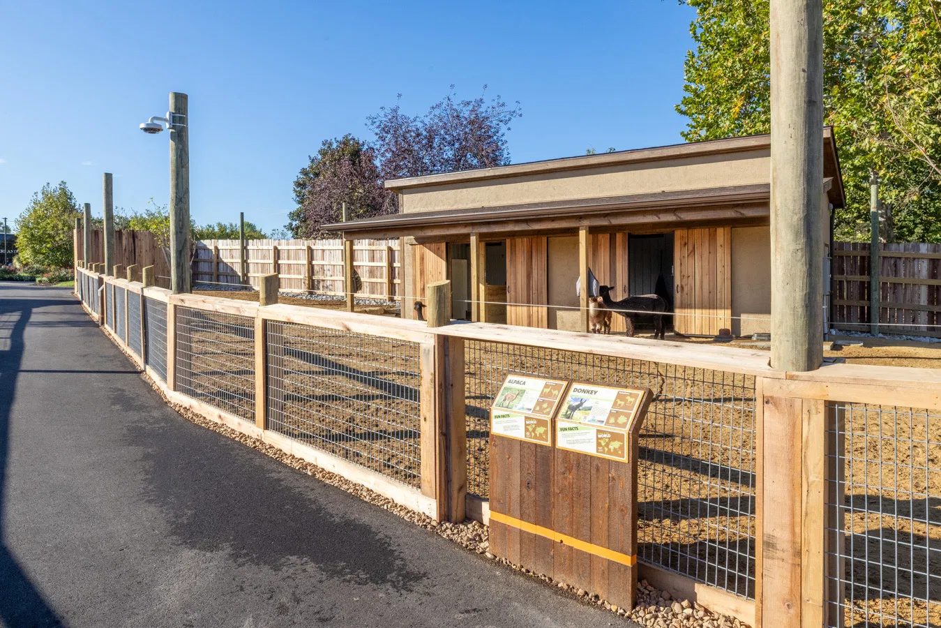 Alpaca and Donkey enclosure